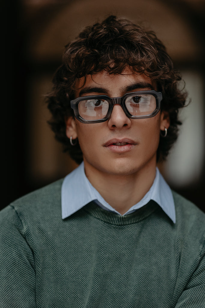 Raphael da vista