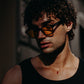 Mosca da Sole