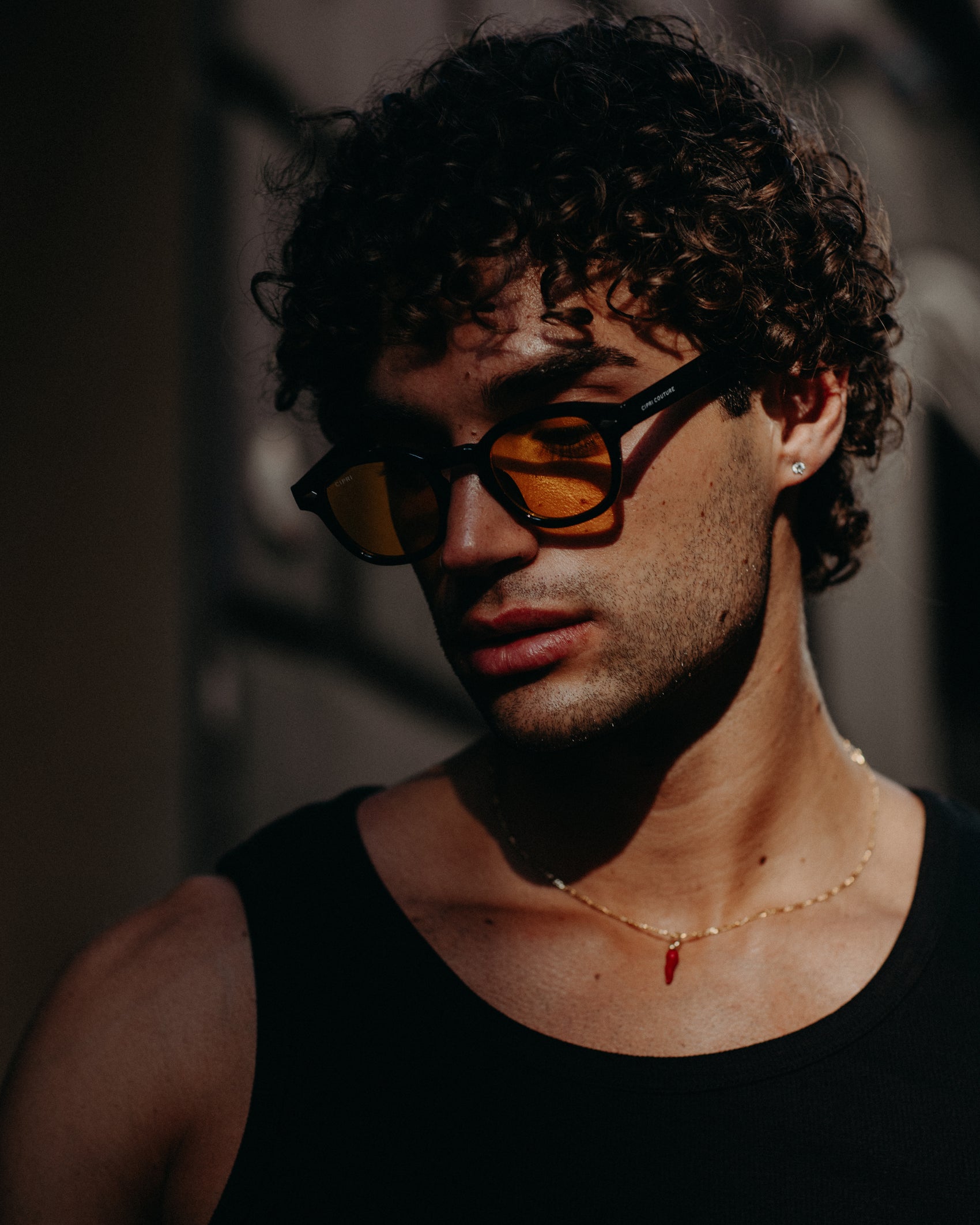 Mosca da Sole